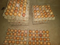 vente-d-oeufs-de-consommation-small-0