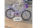 velo-small-1