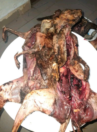 viande-de-brousse-big-3