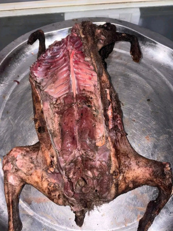 viande-de-brousse-big-1