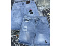 la-swage-small-0