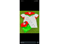 maillots-de-qualite-a-prix-abordables-small-1