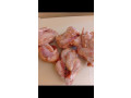 vente-de-poulets-small-0