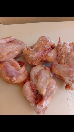 vente-de-poulets-big-0