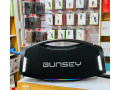 bunsey-small-0