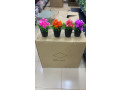 fleurs-small-0
