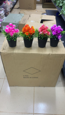 fleurs-big-0