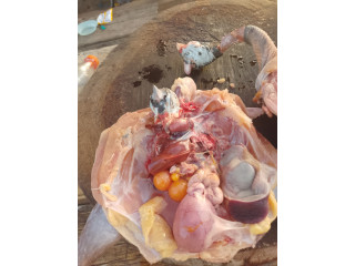 Grillades Bon poulet chez Abdoul COMPAORE à kombissiri