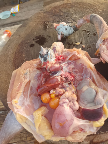 grillades-bon-poulet-chez-abdoul-compaore-a-kombissiri-big-0