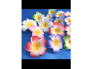 Fleur hawaïenne
