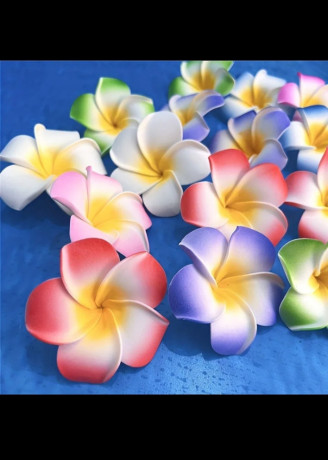 fleur-hawaienne-big-0