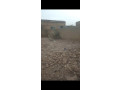terrain-small-0