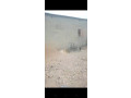 terrain-small-4