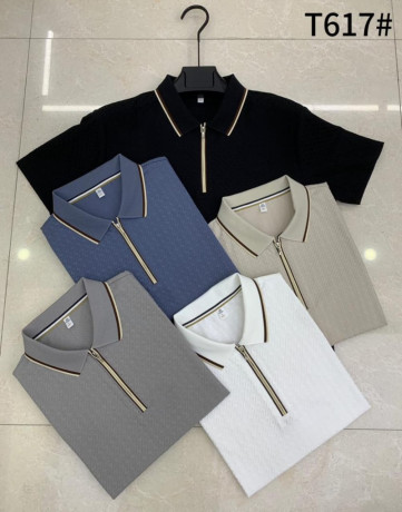 lelegance-decontractee-au-masculin-collection-polo-t617-big-0