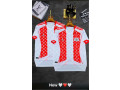 maillot-de-benfica-small-2