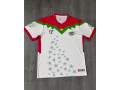 maillot-de-benfica-small-1