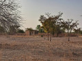 4-hectares-en-vente-a-bassemyam-a-500metres-du-grand-contournement-de-ouagadougou-small-0