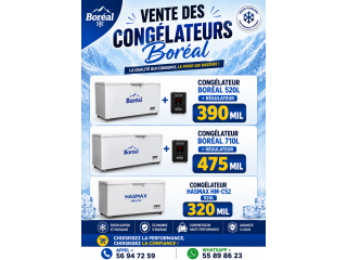 CONGÉLATEUR BOREAL