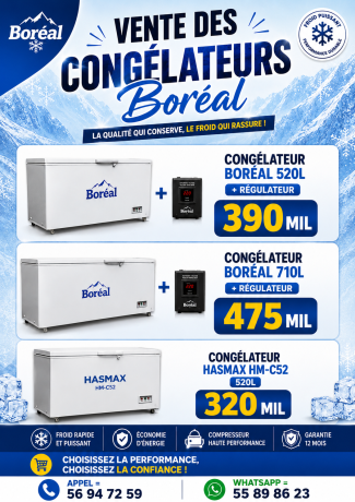 congelateur-boreal-big-0