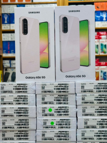 la-maison-mere-des-phones-big-4