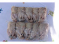 cailles-small-2