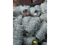 grillage-rigide-souple-metal-lapin-poulailler-barbele-rasoir-epic-et-bien-dautres-small-2