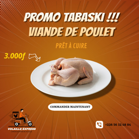 volaille-disponible-a-ouagadougou-qualite-bon-poids-prix-accessibles-big-0