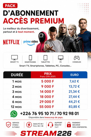 abonnement-netflix-premium-big-2