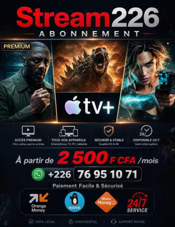 abonnement-netflix-premium-big-4
