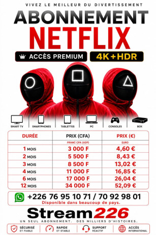 abonnement-netflix-premium-big-0