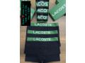 sous-vetements-small-2