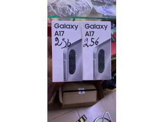 Samsung Galaxy A17 256 Giga