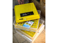 couveuses-disponible-small-1