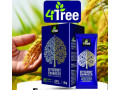 4tree-burkina-small-2