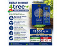 4tree-burkina-small-0