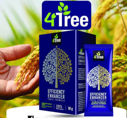 4tree-burkina-big-2