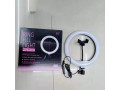 ring-ligt-10-pouce-small-1