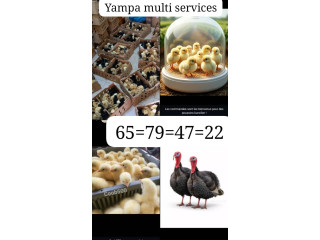 Yampa multi services