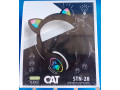 cat-stn-28-small-0