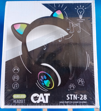 cat-stn-28-big-0