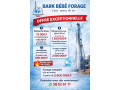 bark-bebe-forage-small-0