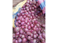 oignons-conservable-small-2
