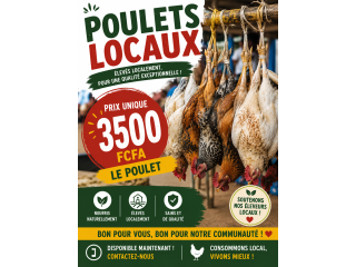 Vente de poulet locaux