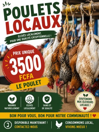 vente-de-poulet-locaux-big-0