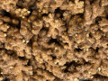 gimgembre-frais-small-0