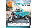 tricycle-apsonic-175cc-small-0