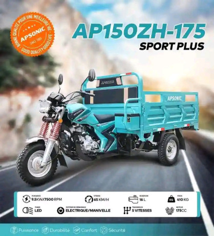 tricycle-apsonic-175cc-big-0