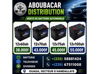 Batterie thundermax pour Automobile