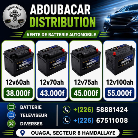batterie-thundermax-pour-automobile-big-0