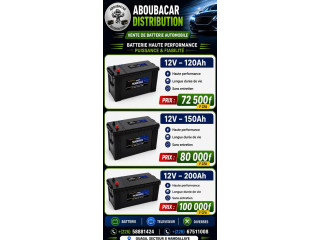 Batterie thundermax pour Automobile